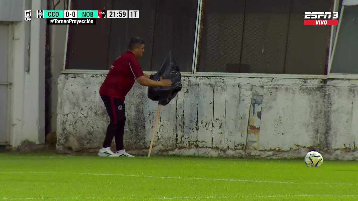 ¡¡EL GENIO DE LAS AVISPAS MUNDIAL!! Este trabajador de Central Córdoba no tuvo miedo y sacó el enjambre de avispas CON UNA BOLSA DE RESIDUOS Y SIN PROTECCIÓN. Gracias a este fenómeno, el Ferroviario y Newell’s pudieron continuar el partido por el #TorneoProyección. 📺 ESPN en el Plan Premium de #DisneyPlus