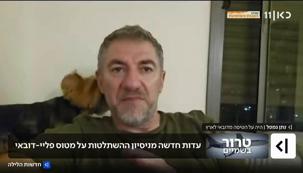 Israeli passenger that was on the flydubai flight to Israel gives a perfect testimony. No need to translate, just watch