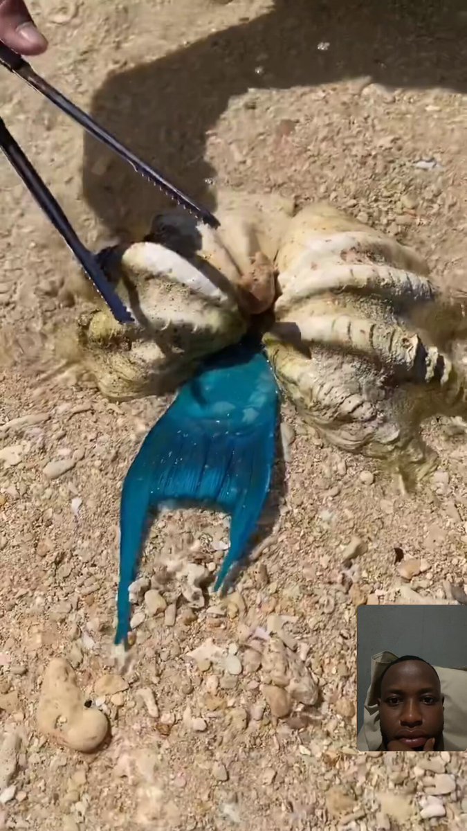 OMG 😳 What kind of blue fish is this?😱🙆