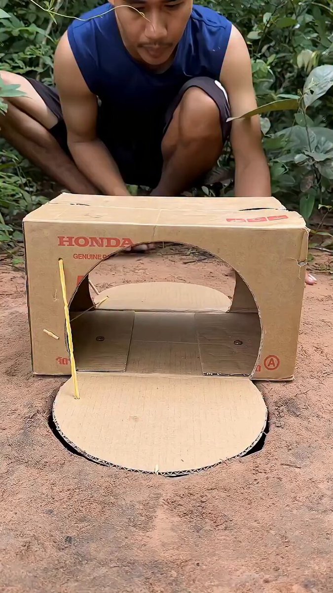 One of the easiest and most creative DIY traps ever made!The Most Genius Underground different Birds Trap such as Quail , pigeon , Parrot You’ll Ever See! 🐦✨ With a hole underground Hidden by Cardboard box , Trap That Outsmarts Any Bird! 📦💡 One of the easiest and most creative DIY traps ever made!