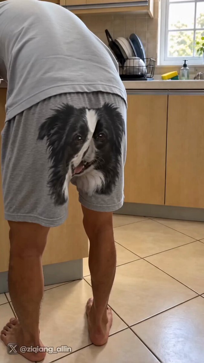 我家新成員 小強！🐶 第一天就搞事….