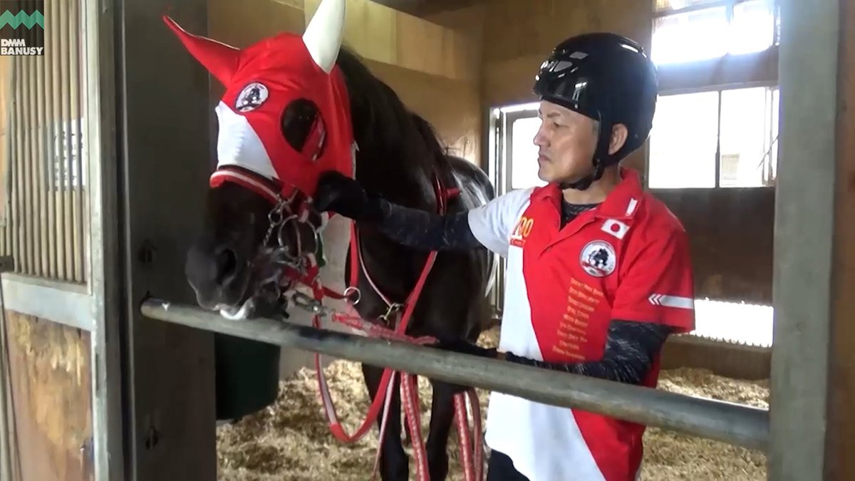 キングスコール が 10月4日(日) 京都競馬場 第11レース 京都大賞典(G2)に挑みます。 レースの前にスペシャル動画をぜひご覧ください! #BanusySpecialMovie #バヌーシー