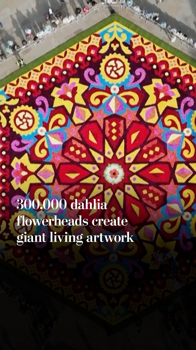 A giant floral artwork made with more than 300,000 dahlias covered Centenary Square in Bradford, England. Designed by local artist Shiraz Ali, the installation marked the first British edition of the Flower Carpet, a tradition that began in Belgium in the 1970s.