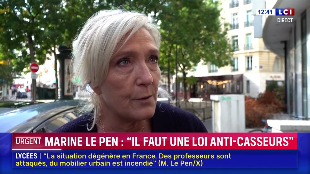 Il ne s'agit plus aujourd'hui de contestations lycéennes. Il s'agit d'émeutes organisées par des professionnels et encadrées par des députés de la France insoumise. Nous devons faire voter une nouvelle loi anti-casseurs pour que la participation à une émeute soit un délit clairement identifié.