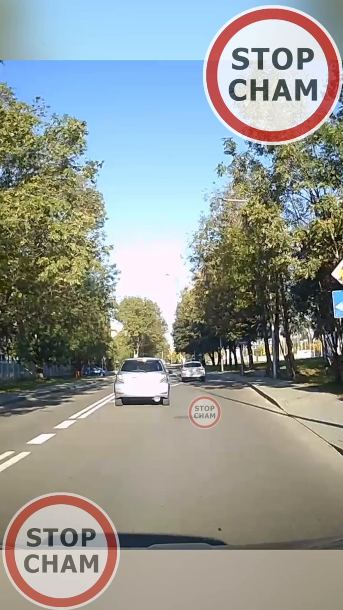 Pierwszeństwo nie daje nieśmiertelności! Wbijać dzieciakom do głowy od małego!!!