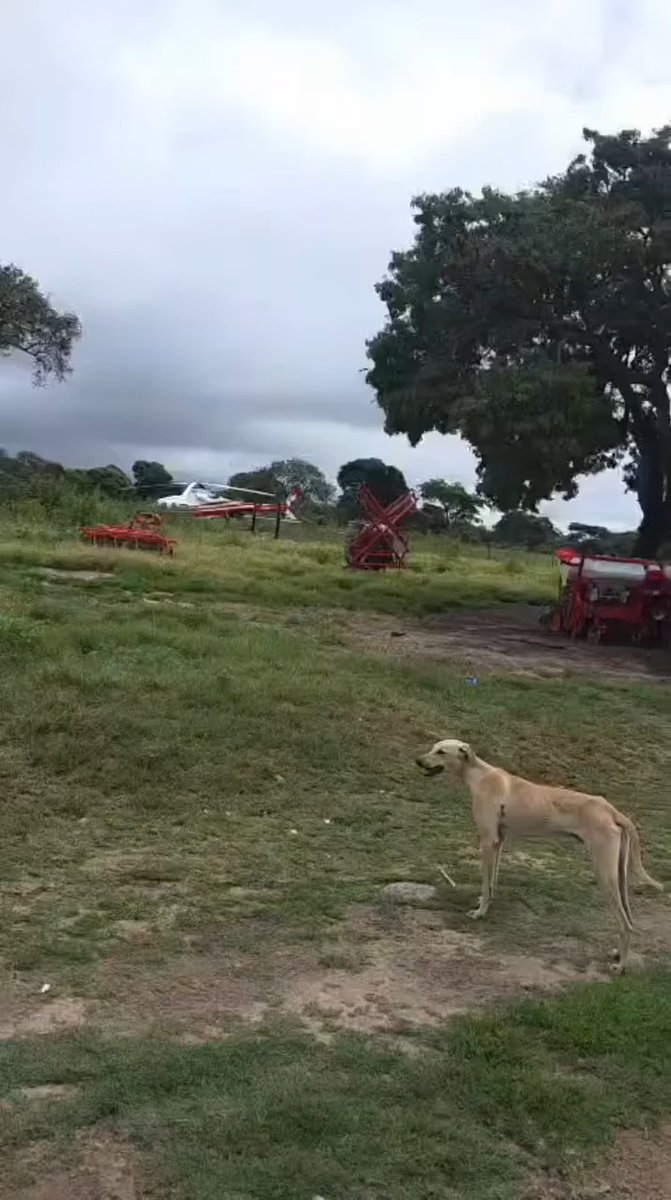 Zimbabwean businessman Wicknell Chivayo is expected to be buried at his family’s ancestral land in Gandami village, Wiltshire, in the Chivhu area of Chikomba, Mashonaland East. The land is about 400 hectares. Chivayo spent more than US$500,000 on fencing, machinery and trucks in the famr bought by his grandfather in 1962.