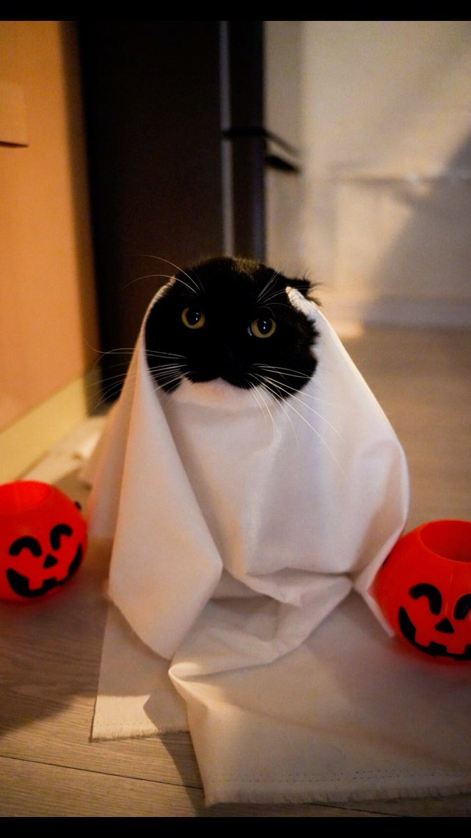 Happy October! Let the spooky season begin!