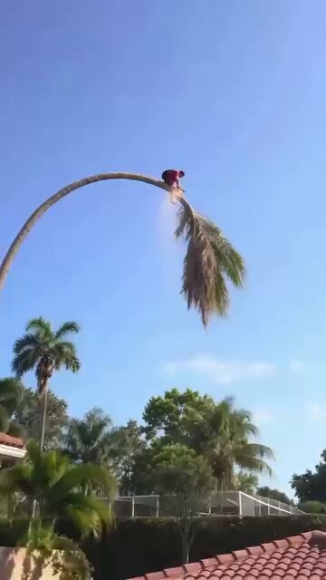 At the end of this video you would understand why you must watch every video to end because what is this again 😂😂