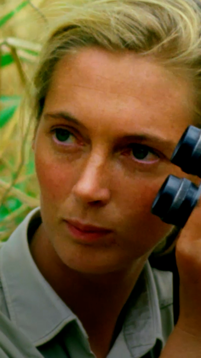 One year after her passing, we remember Jane Goodall for the curiosity that transformed our understanding of chimpanzees, the compassion that challenged how we see our place in nature, and the belief in the power of hope that inspired generations to imagine a better future.