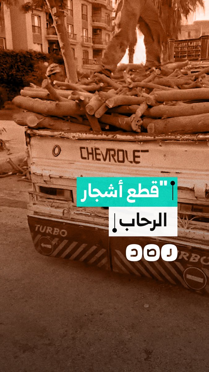 مشاهد لعملية تقطيع الأشجار بأحد أحياء الرحاب في القاهرة