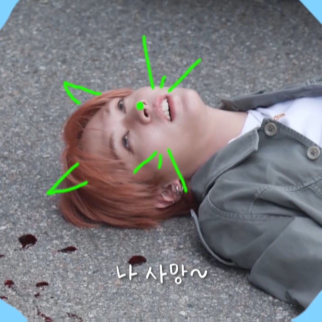 #leeknow kitty you better not be ded.. 🐈