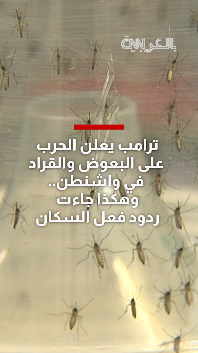 ترامب يعلن الحرب على البعوض والقراد في واشنطن.. شاهد ردود فعل السكان