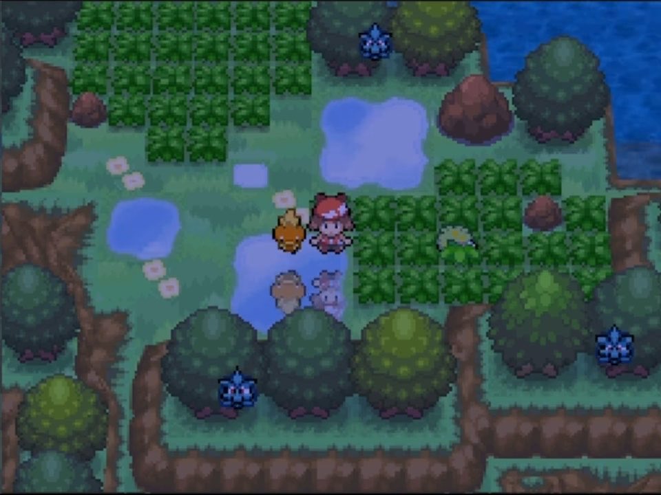 Who can resist the art style of the Pokémon NDS Ruby and Sapphire games?