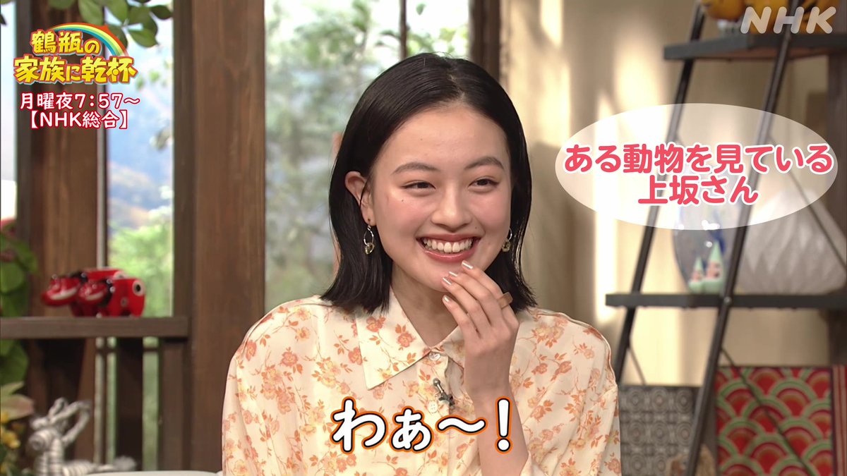 幸せをありがとうSP 前編✨ 今回 "とってもかわいい動物"が 登場しました！ その動物に #上坂樹里 さんが 大大大興奮‼️ いったいその動物とは🐶😺🐰 答えは #NHKONE をチェック👀 #鶴瓶の家族に乾杯