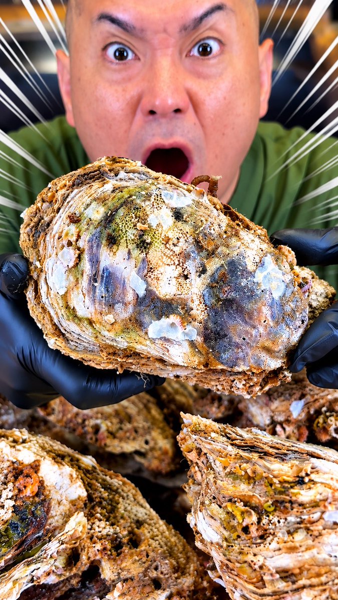 このサイズ、最高すぎる🦪🔥 巨大岩牡蠣を美味しくいただきました😋 もちろん完食! もっと美味しい動画を見たい方は、Subscribeお願いします👍 #GiantOyster #Oyster #岩牡蠣 #JapaneseFood