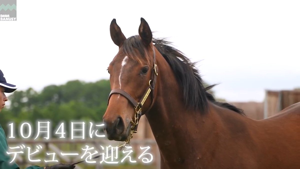 リリックラヴ が 10月4日(日) 京都競馬場 第4レース 2歳新馬 (芝1400m、牝馬限定、11:20発走)でデビューします！ デビュー戦の前にスペシャル動画をぜひご覧ください！ バヌーシー #BanusySpecialMovie