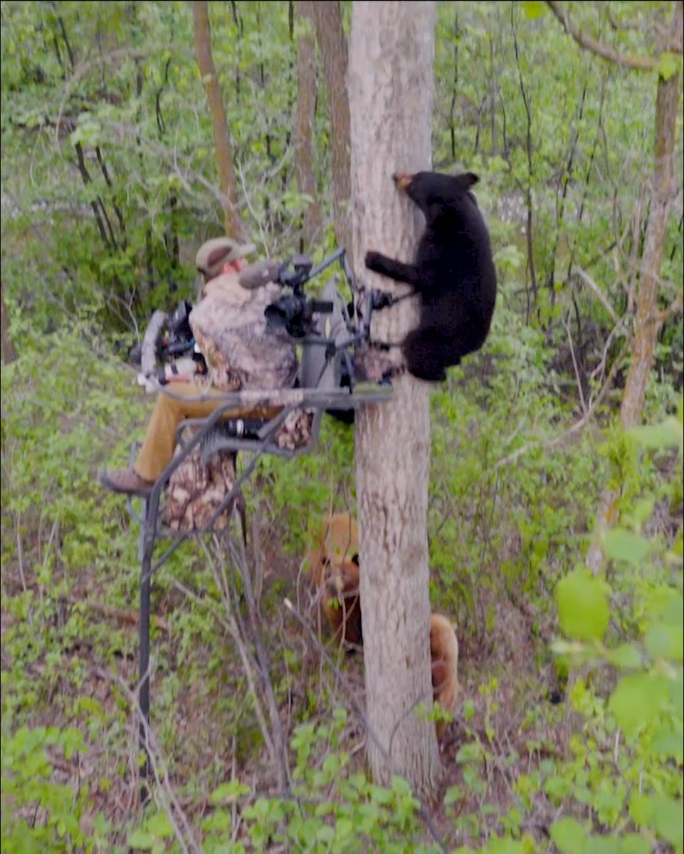Twelve hunts. One year. And it all starts in the Manitoba wilderness. 🐻🏹 Janis Putelis opens the journey in pursuit of a giant black bear, taking on a style of hunting he’s never tried before. Sometimes the best adventures begin by stepping outside your comfort zone. MeatEater's 12 in 26 | ALL-NEW SERIES PREMIERE SATURDAY AT 7 PM ET