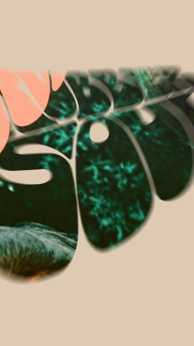 There's even more to rediscover with the Rubber Soul Special Editions: