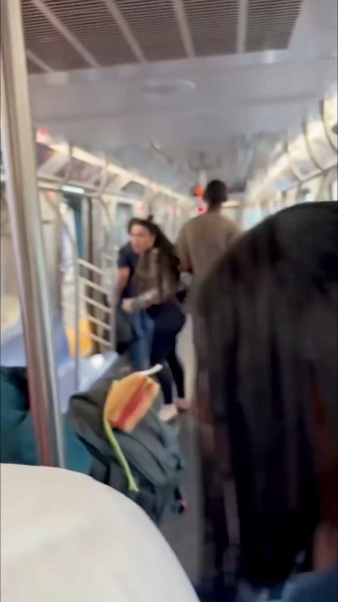 ⚠️ A man was fatally stabbed on an NYC subway Wednesday, and video shows the aftermath as bystanders chase after the knife-wielding suspect. 🎥: X/Crime_in_NYC