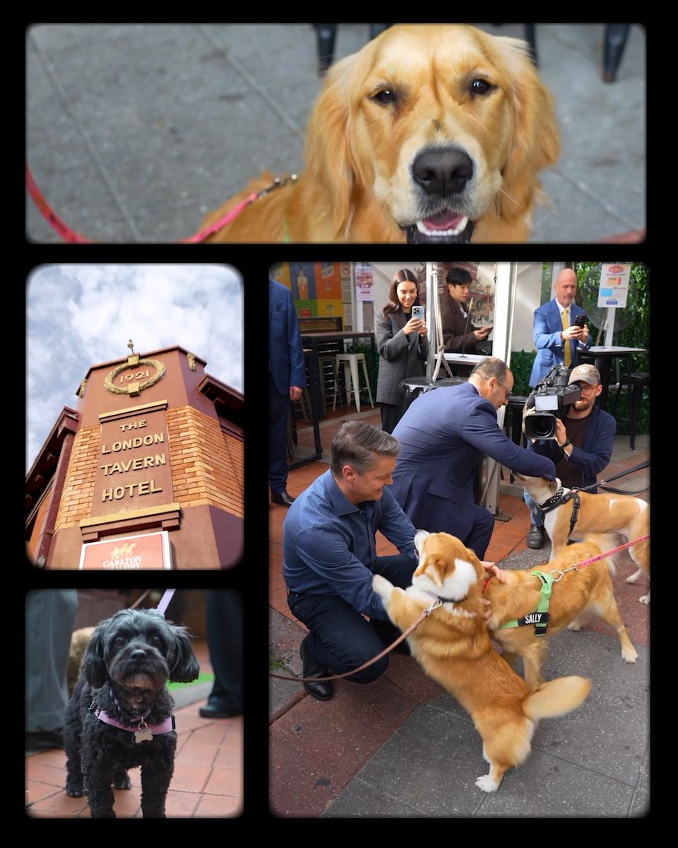 Reminder: We’ll change the law to let you bring your dog to the pub