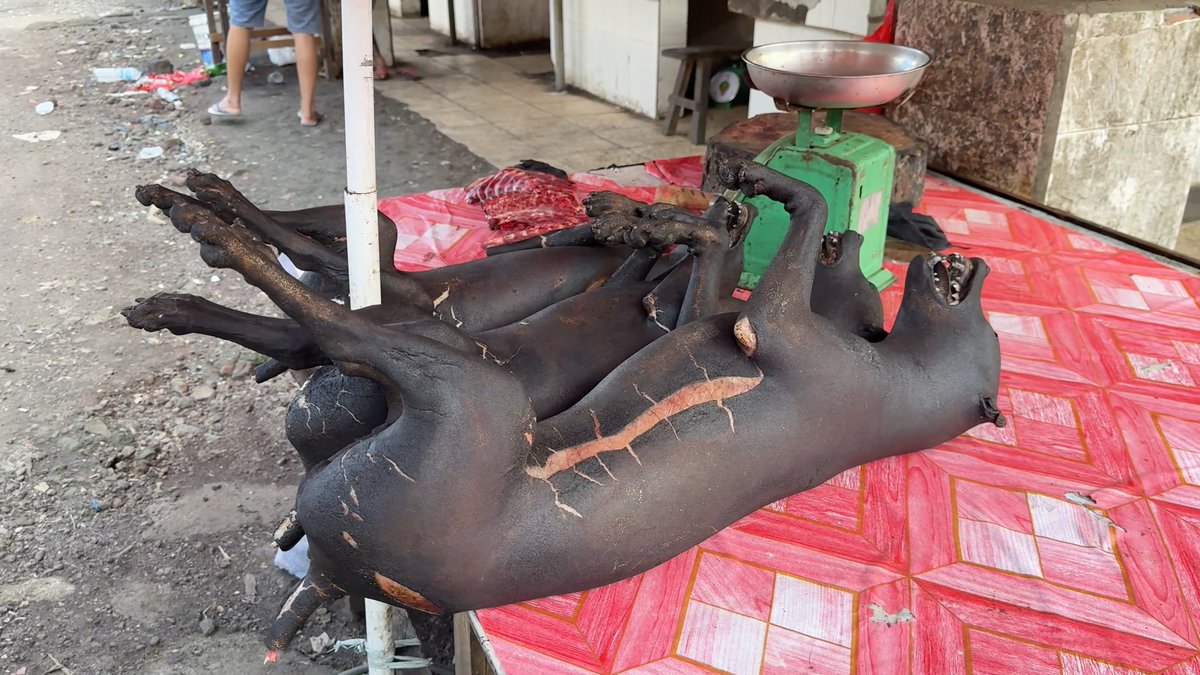 Endonezya'daki Tomohon Pazarı'nda satılan köpek etleri :( Sulawesi