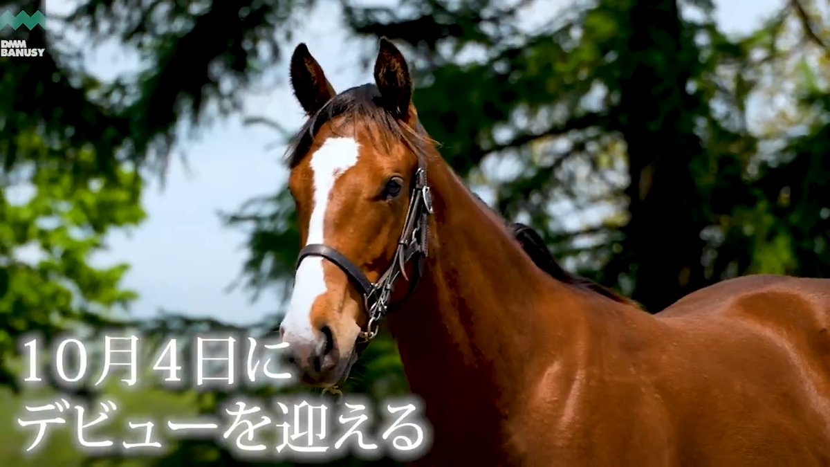 リントヴルム が 10月4日(日) 東京競馬場 第5レース 2歳新馬 (芝2000m、12:25発走)でデビューします! デビュー戦の前にスペシャル動画をぜひご覧ください! バヌーシー #BanusySpecialMovie