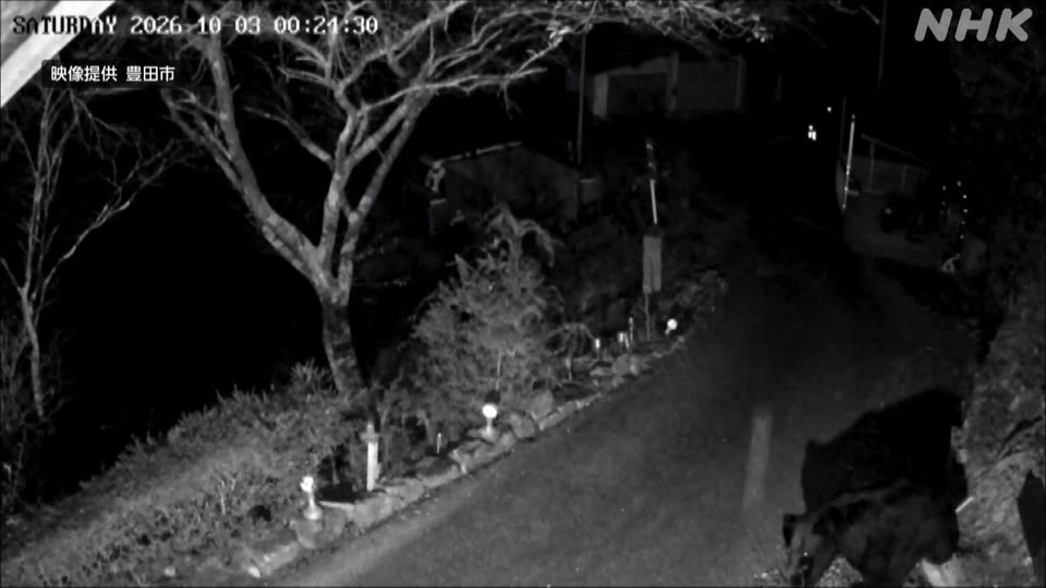 【動画】 愛知県岡崎市で サルにかまれ 4人軽傷 豊田市では クマ出没確認 👇詳しくはこちら