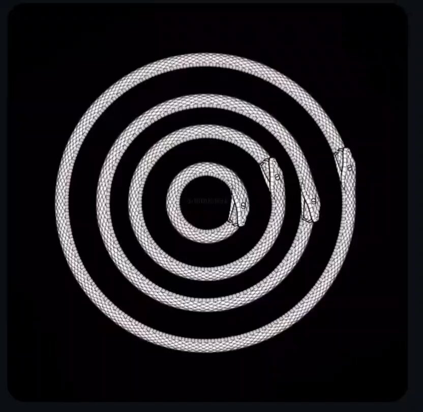 The OUROBOROS can represent the unconscious self - an infinite CYCLE, and a closed LOOP, feeding on its own past in an eternal pattern of REPETITION. A PATTERN repeats until it is seen. What remains UNSEEN, we feed. What we FEED becomes the LOOP. The LOOP that devours itself.