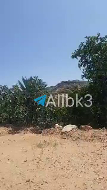 القوات اليمنية تسيطر على جبل المقارمة وتقترب أكثر فأكثر من مدينة التربة، وسط استمرار المواجهات.