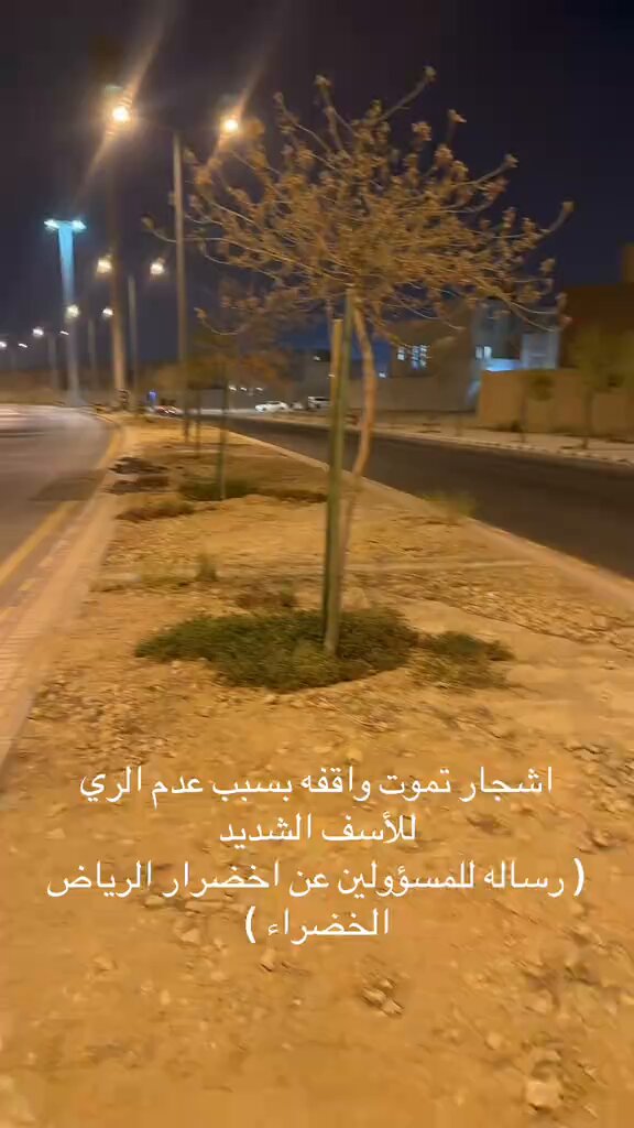 📌 مواطن ينشر مقطع ويتساءل عن عدم وجود ري للاشجار في الرياض