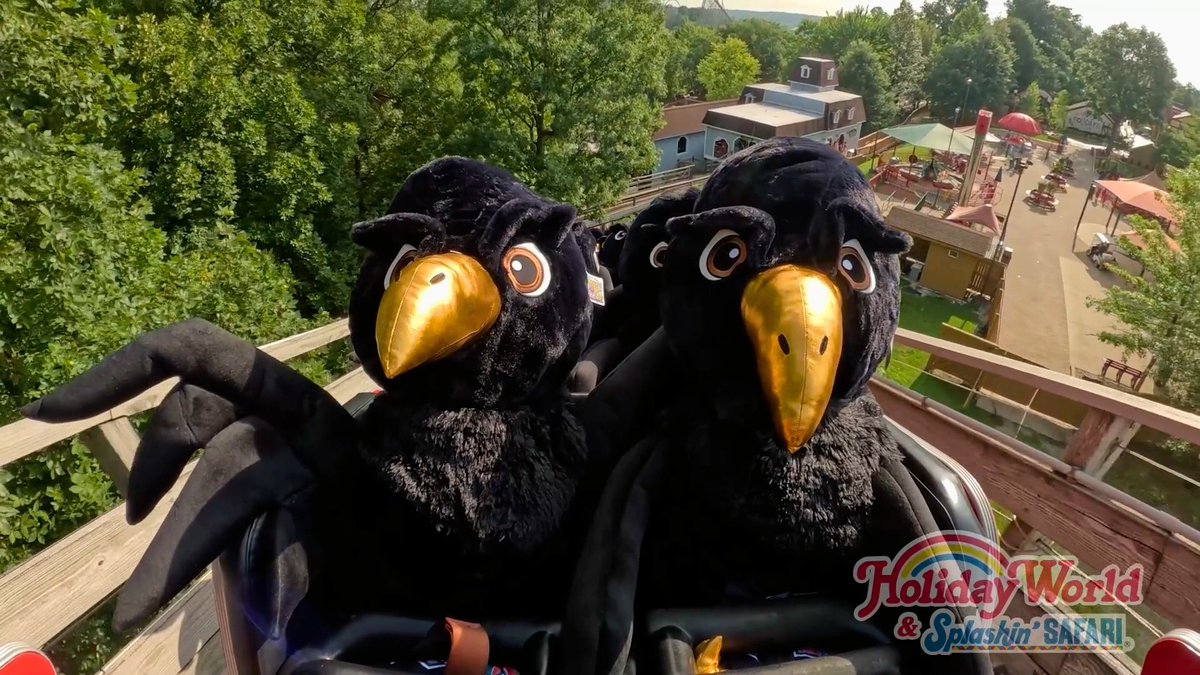 It soars, it swoops, it’s what you’ve been cravin’. Hold on tight and enjoy your flight on The Raven! 🎢 #HolidayWorld #ThemePark #AmusementPark #RollerCoaster #TheRaven #Halloween