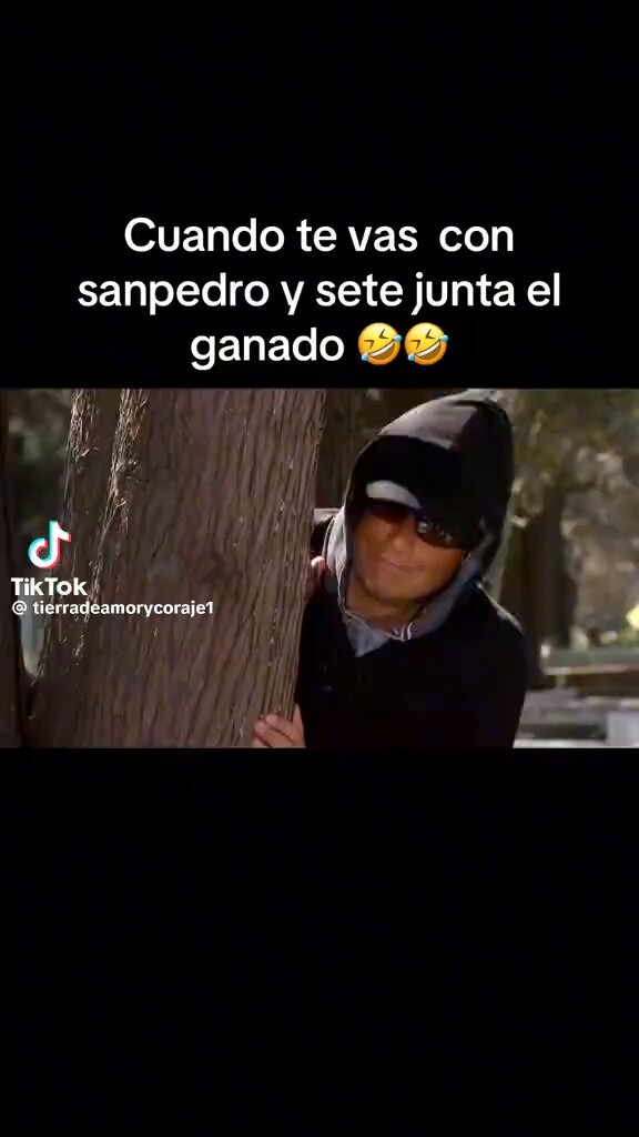 Morí 🤣😂🤣