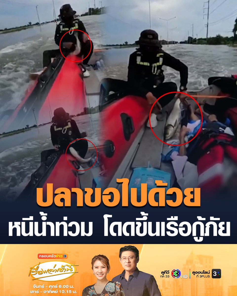#เรื่องเล่าเช้านี้ ปราจีนระทึก! จระเข้โผล่รายวันช่วงน้ำท่วม เตือนประชาชนเฝ้าระวัง หากพบเห็นให้แจ้งเจ้าหน้าที่ทันที ขณะที่กู้ภัยเชียงใหม่เข้าช่วยผู้ป่วยติดเตียง เจอปลาหนีน้ำโดดขึ้นเรือขอไปด้วย #ข่าวช่อง3 #น้ำท่วม #กู้ภัย #ปราจีนบุรี