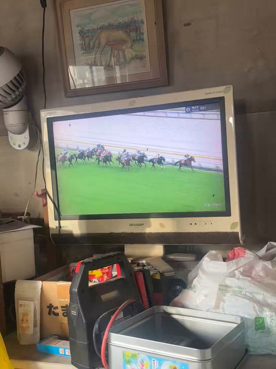え！？さしたよね！？え！？ やったあああああああ！！！ のシーンです笑 休憩小屋なのでハエがいますが ハエも喜んでるということで😃