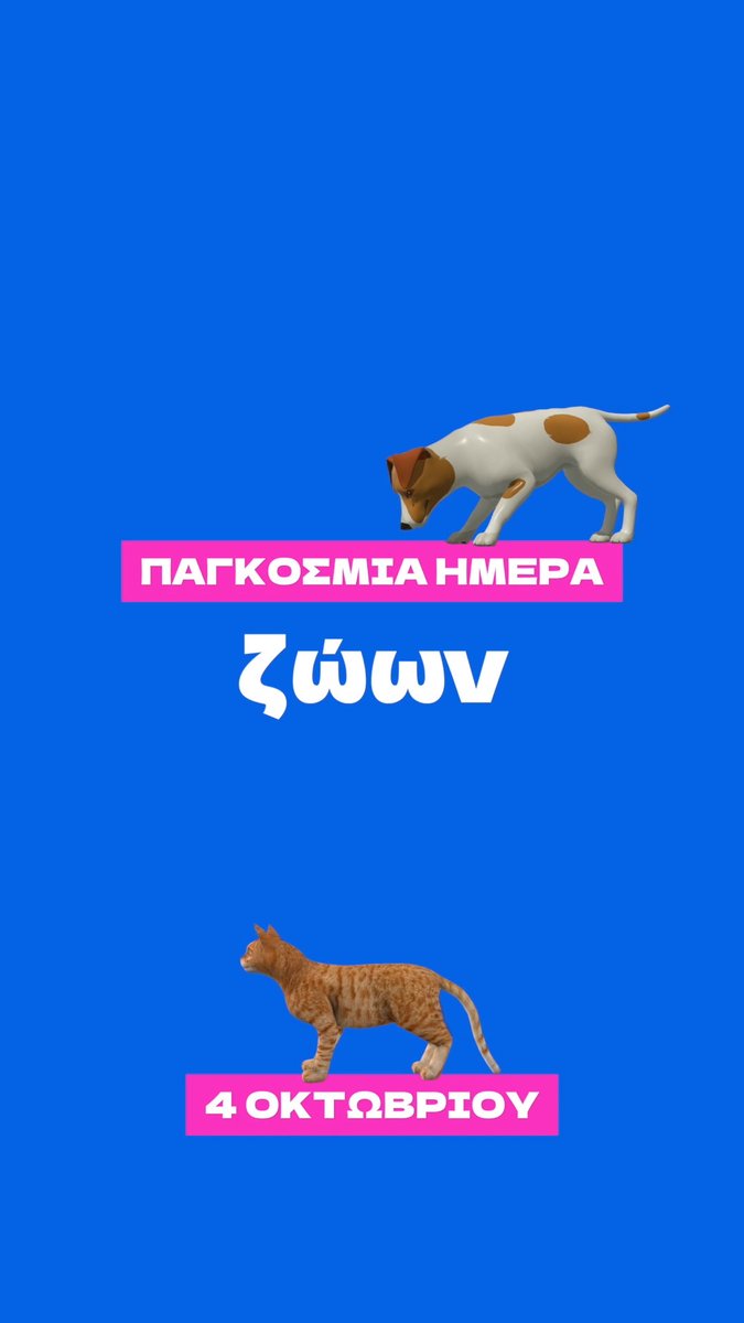 Η Μπέλα χρειάζεται μια δεύτερη ευκαιρία. Είναι 10 χρονών και είναι ένας από τους σκύλους που φιλοξενούνται στο Καταφύγιο Αδέσποτων Ζώων «Σωκράτης». Σήμερα, Παγκόσμια Ημέρα Ζώων, θυμόμαστε κάτι απλό: η αγάπη για τα ζώα φαίνεται στην πράξη. Στη φροντίδα, στην προστασία, στην υπεύθυνη υιοθεσία. Μέσα από την Αστική Πανίδα του Δήμου μας: ✅ 100+ υπεύθυνες υιοθεσίες μέσα στο 2025. ✅ 130+ ποτίστρες στις γειτονιές της πόλης για τα αδέσποτα ζώα. ✅ 532 ειδικοί κάδοι για τα απορρίμματα των σκύλων. ✅ Νέο πάρκο σκύλων στο Σεράφειο. ✅ 2.000+ μαθητές επισκέφτηκαν το Καταφύγιο. 🐾 Έλα κι εσύ στον «Σωκράτη» και δες τον κόσμο μέσα από τα μάτια τους!