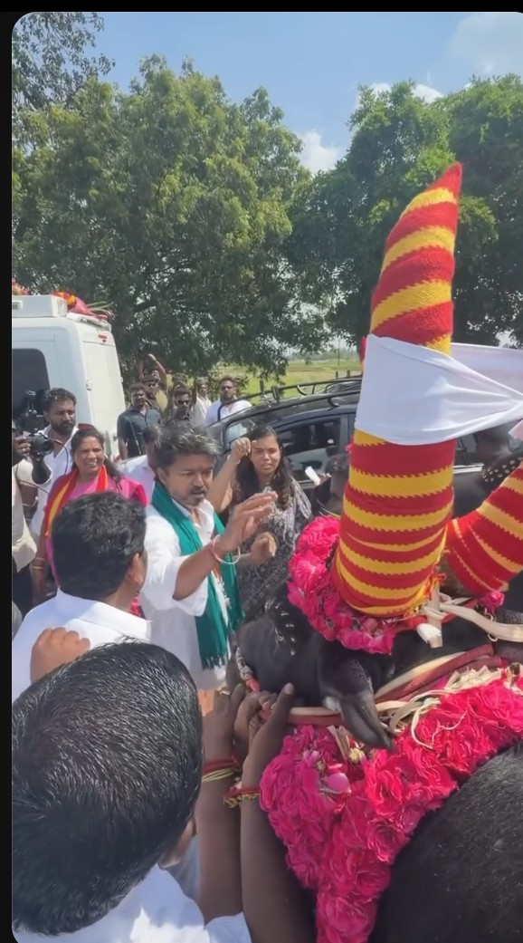 கொம்பன் கருப்பனை கொஞ்சி விளையாடும் முதல் அமைச்சர் தளபதி விஜய் 🥰😍❤️