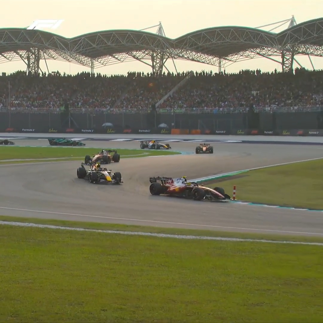 Hamilton passes Hadjar 🤩 And the crowd goes wild (sound on 🔊) #F1 #BahrainGP