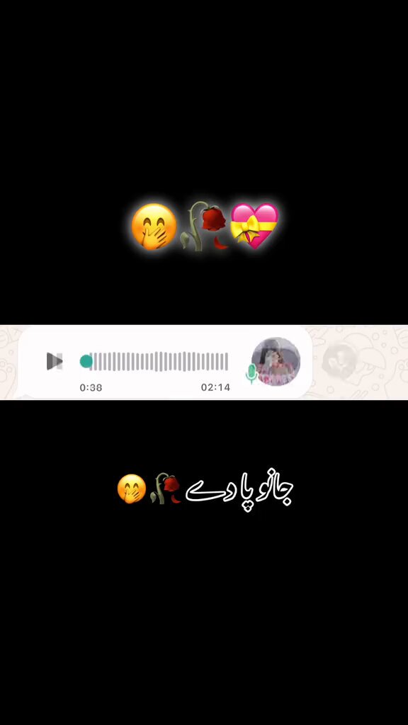 Video call service available hy Jan aa jao es trha ki voice AP ki bhi bna k download kron gi ?