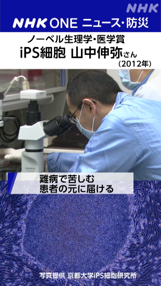 【ノーベル生理学・医学賞 今夜発表】 午後6時半から、ノーベル生理学・医学賞の受賞者が発表されます ノーベル生理学・医学賞では、過去6人の日本人が受賞しています 今回受賞が期待される人や歴代受賞者はこちら↓
