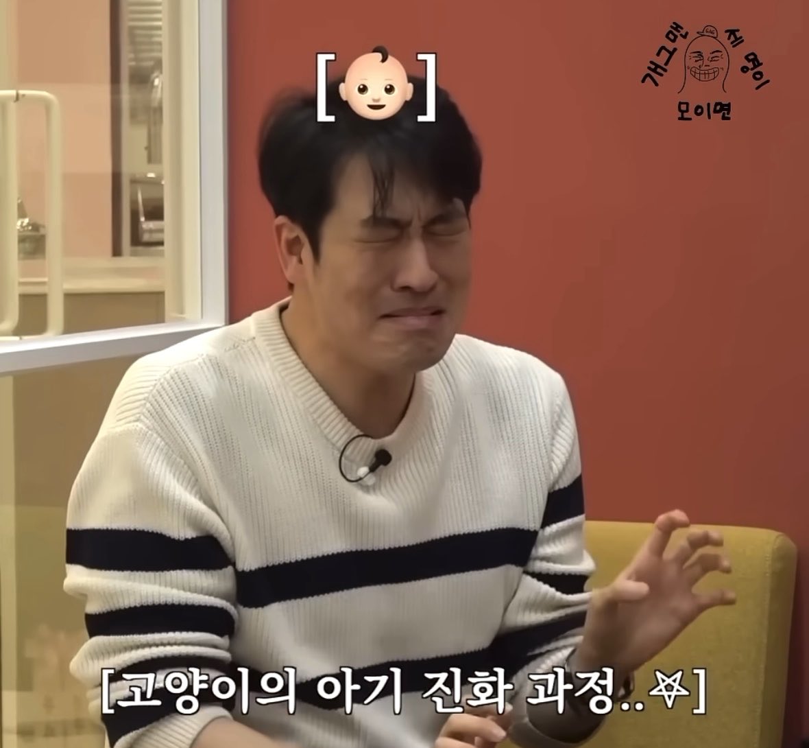 김성원이 고양이 우는 소리가 아기 울음소리랑 헷갈린다면서 고양이랑 아기 울음소리 연구한 게 개웃김 ㅜㅜㅋㅋㅋㅋㅋ