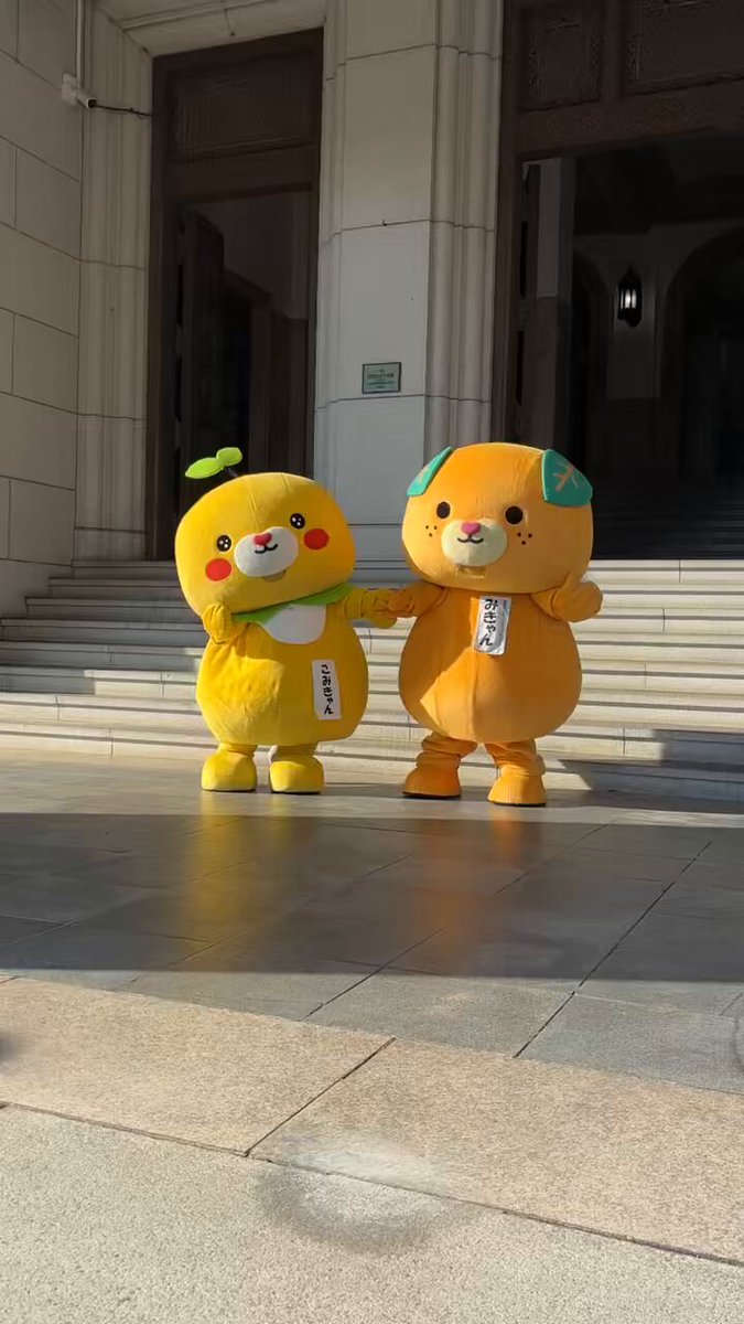 こんにちきゃん🍊 コミーと遊んでたら撮られてた🤩 なかよし動画やねぇ〜🧡💛