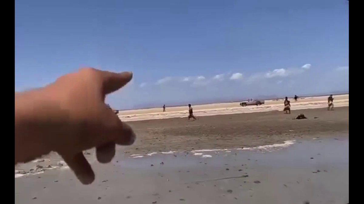 قوات العمالقة تأسر عناصر حوثية حاولوا الهروب عبر البحر بعد السيطرة على باب المندب