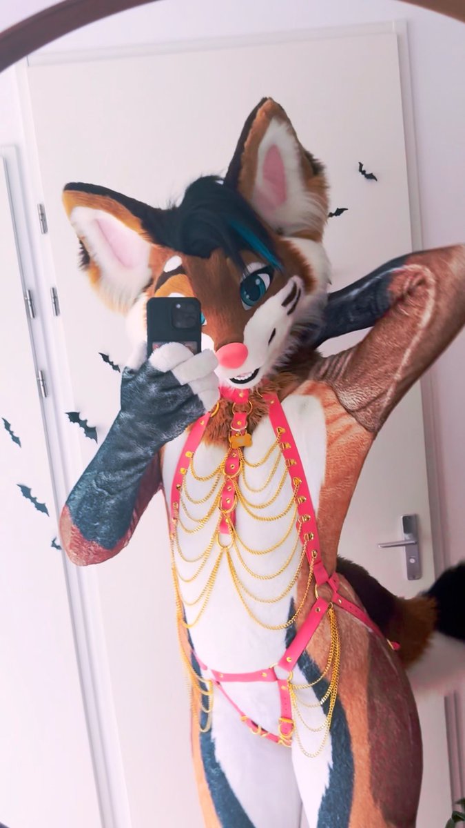 Time to be sled puppy again OwO🐾