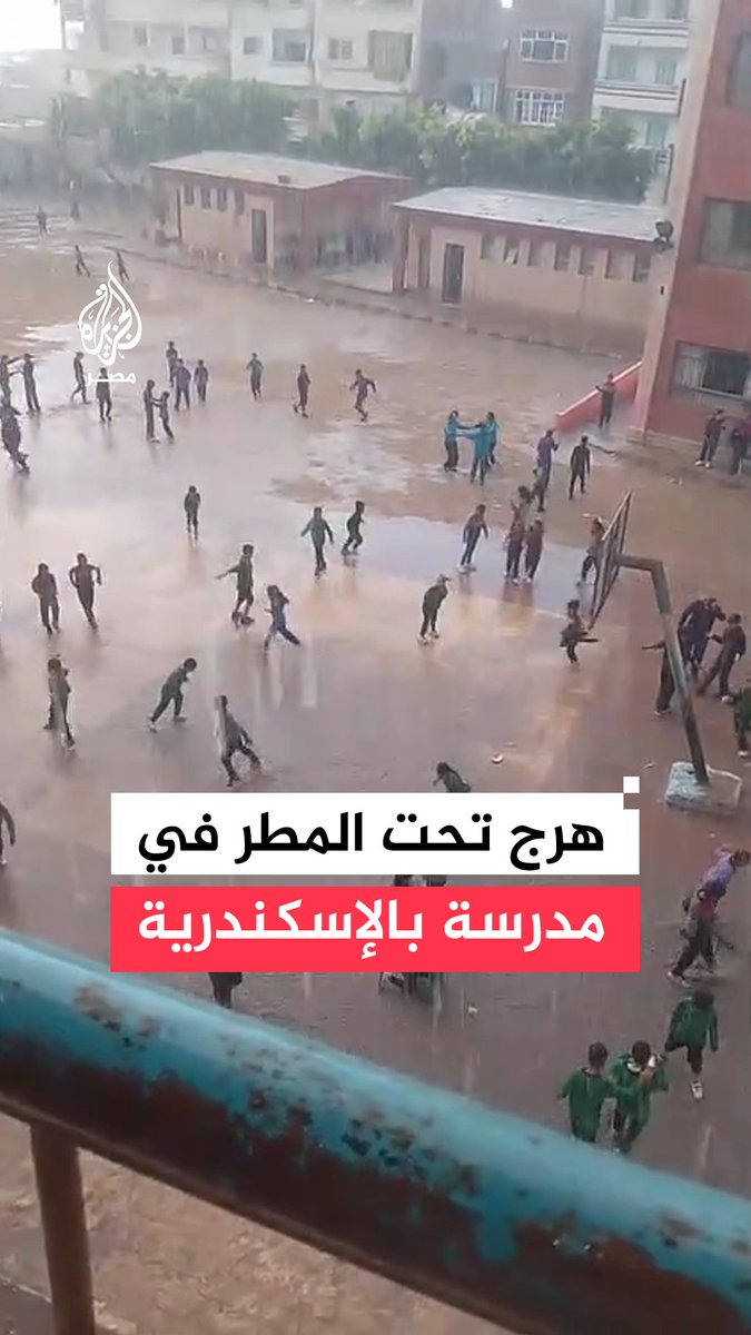 هرج بين طلاب مدرسة طلائع العجمي بالإسكندرية لحظة سقوط أمطار غزيرة أثناء وجودهم بالفناء
