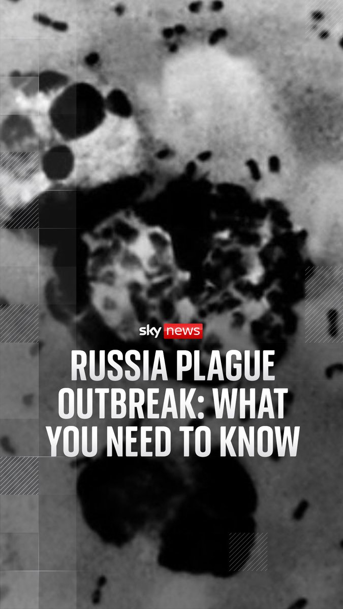 A Russian lab worker has died and thousands are in quarantine after a plague outbreak. The World Health Organisation says the pneumonic form of plague is especially contagious and "can trigger severe epidemics". Thomas Moore explains everything you need to know about varieties of the disease. 🔗