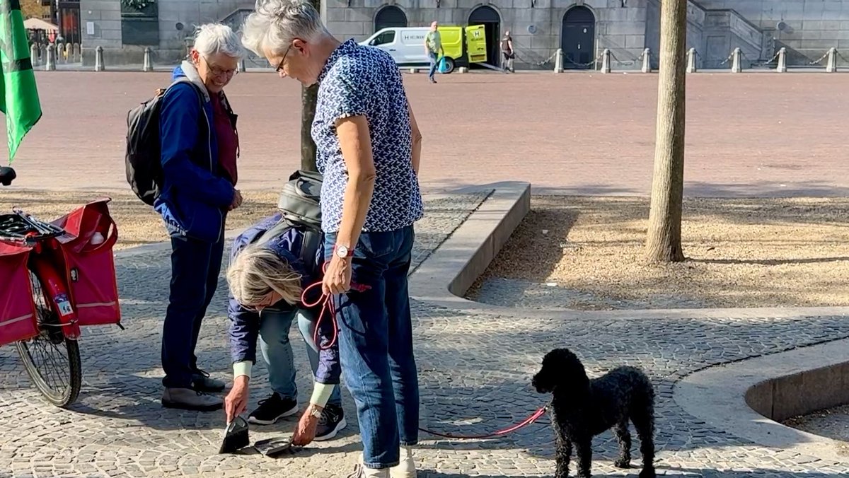 Om klokslag 12 uur vanmiddag wilden de Groningse rebellen van XR tijdens het Klimaatalarm voor 'dood' neervallen op de Grote Markt. Maar zo'n 'die-in' moet natuurlijk wel arbo-verantwoord gebeuren: gewapend met veger en blik worden eerst uiterst zorgvuldig alle glasscherven van de kasseien geveegd. Want stel je voor dat je een schrammetje oploopt tijdens je fictieve overlijden. Veiligheid boven alles in de strijd tegen het einde der tijden. #Klimaatalarm