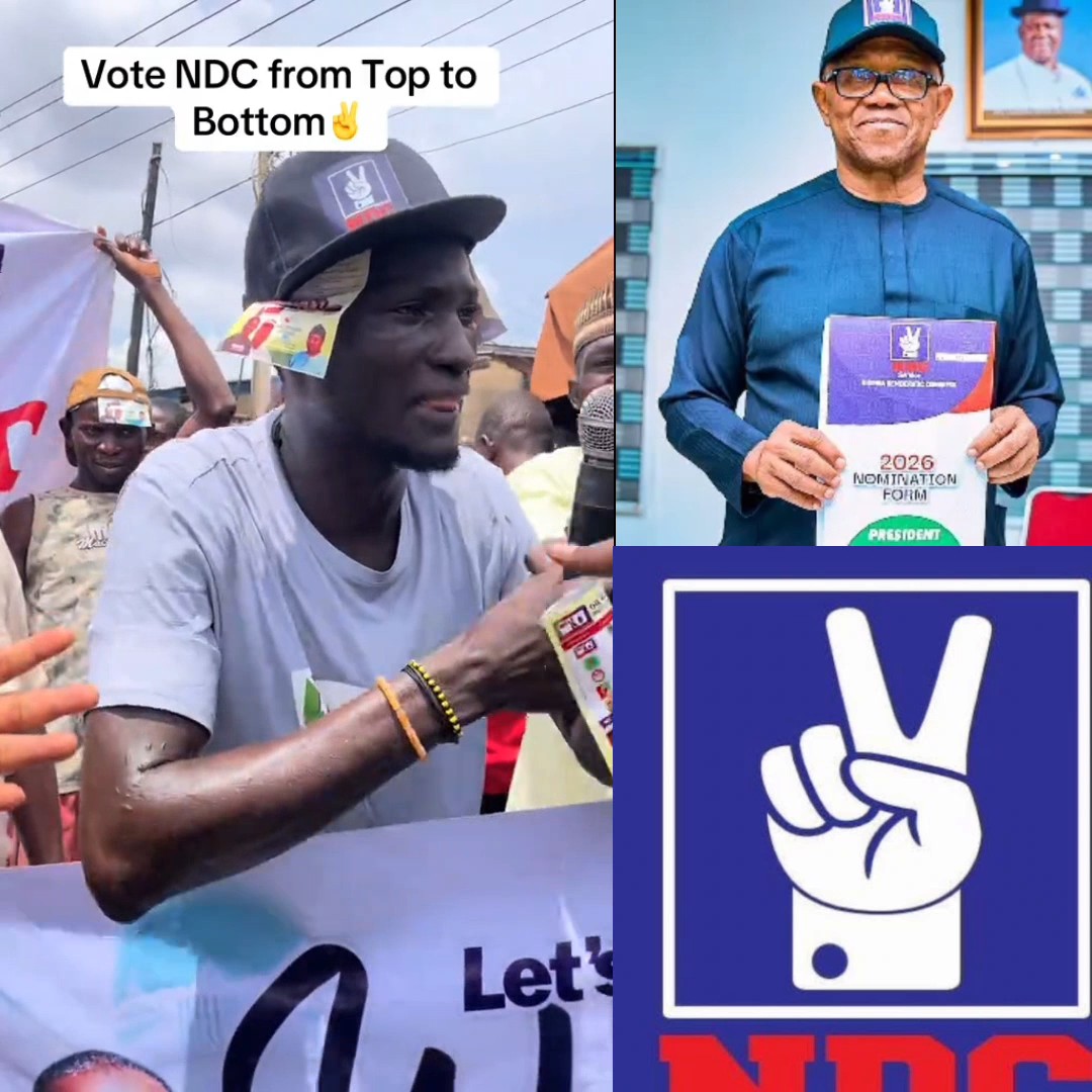 “No fear, no man has two heads. We are ready to vote for Peter Obi and Kwankwaso. Protect our votes come 2027.” -Man charges Arewa brothers at market place.