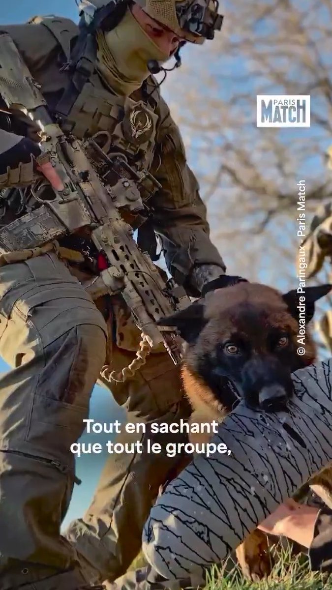 Le CPA 10, commando parachutiste de l'air n° 10, compte dans ses rangs des chiens capables de sauter à plus de 9000 mètres d'altitude. Entre l'homme et l'animal, une complicité qui fait leur force.