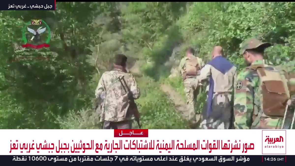 صور نشرتها القوات اليمنية تظهر اشتباكات مع الحوثيين في جبل حبشي غربي تعز