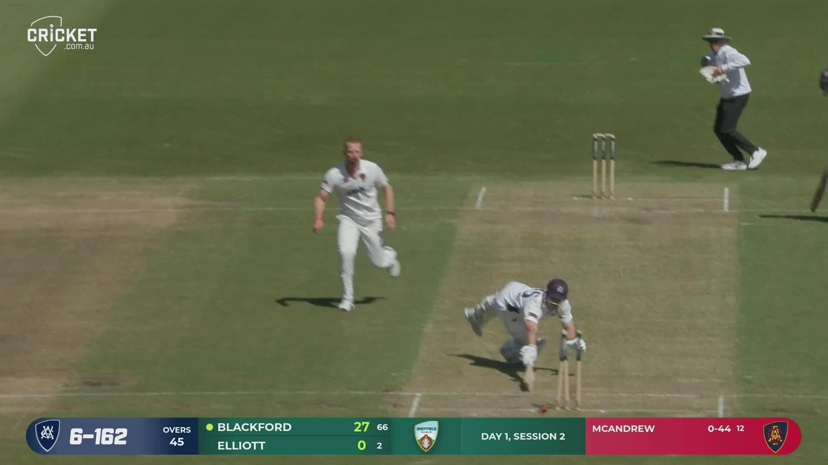 WOW 🤯 How good is this effort from South Australia spearhead, Nathan McAndrew! #SheffieldShield